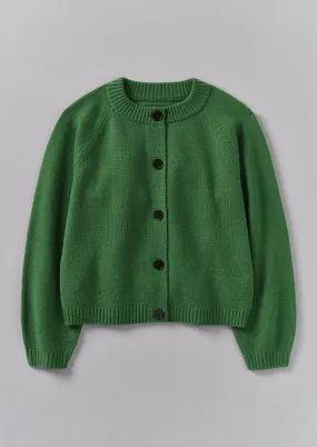 Eden Wool Cashmere Raglan Cardigan | Mineral Green