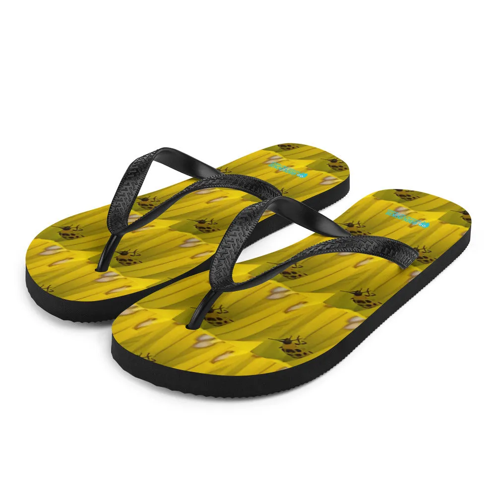 Flip-Flops