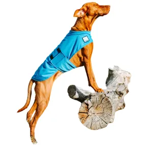 Vizsla Cooling Coat  (Coming Spring 2025)